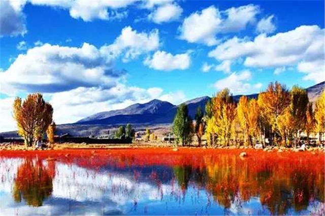 雙凱智能：說走就走旅行？有TA更輕松